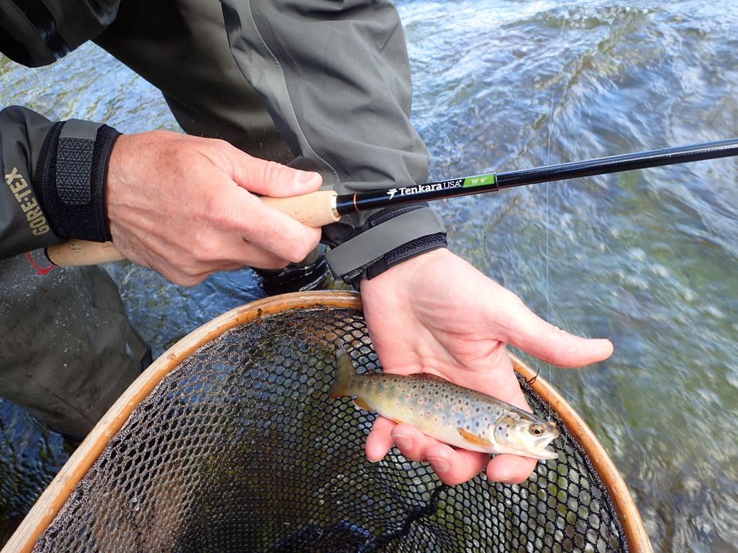 Tenkara Fly Fishing - Half Day